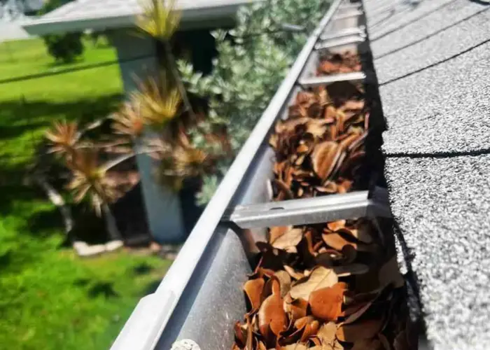 Springville gutter cleaning home page